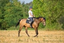 Cross Country riding from Quob Stables