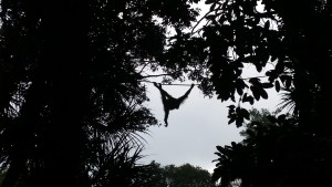 20160329_151212