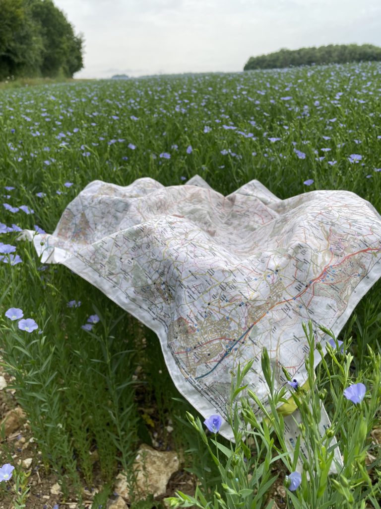 map-in-summer-crop