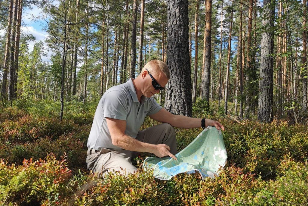 swedish-map-woods