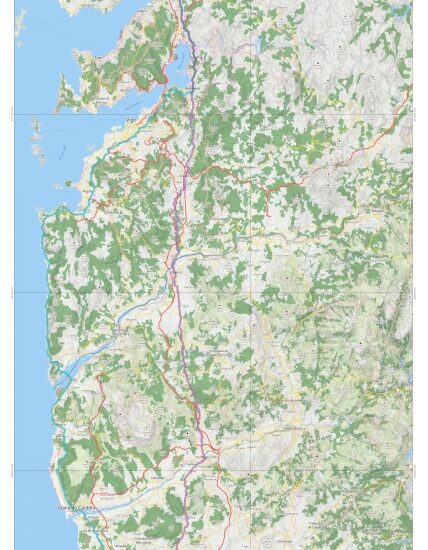 camino-portugese-santiago-de-campostela