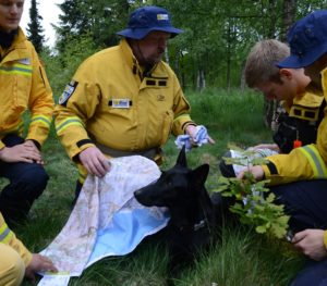 dogs-can-be-an-important-part-of-rescue