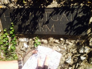 Farm names are important features in the map in rural areas