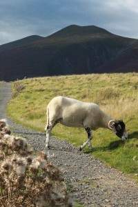 Approaching Skiddaw