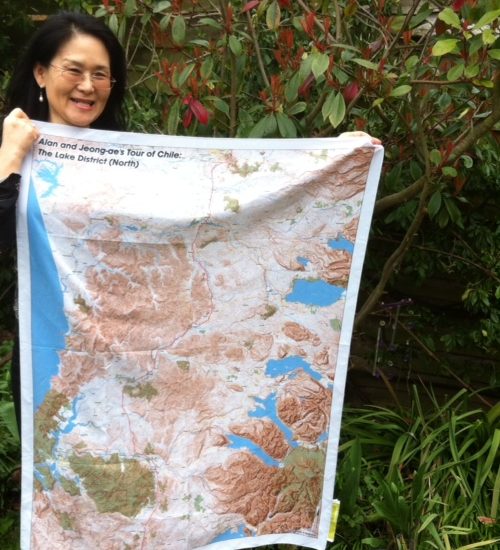 bespoke-chile-splashmap
