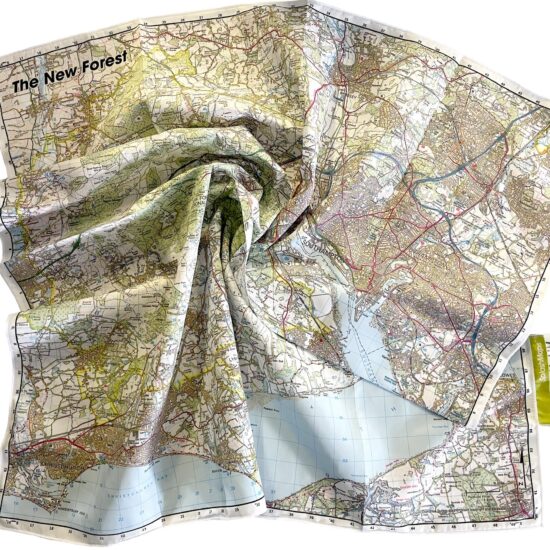 new-forest-map-splashmaps-scrunched
