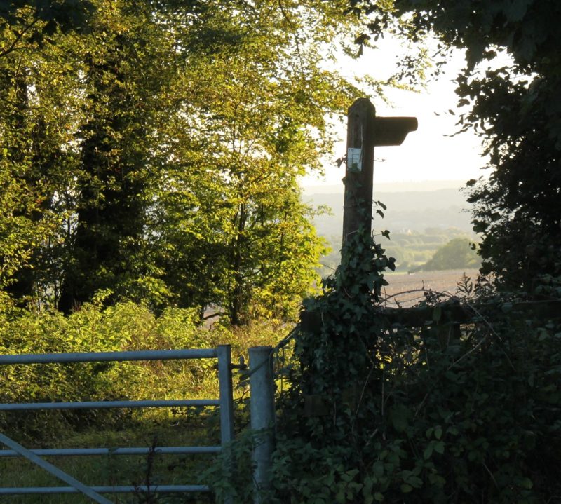 The bridleway SplashMaps