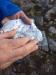 bearing-in-cairngorms